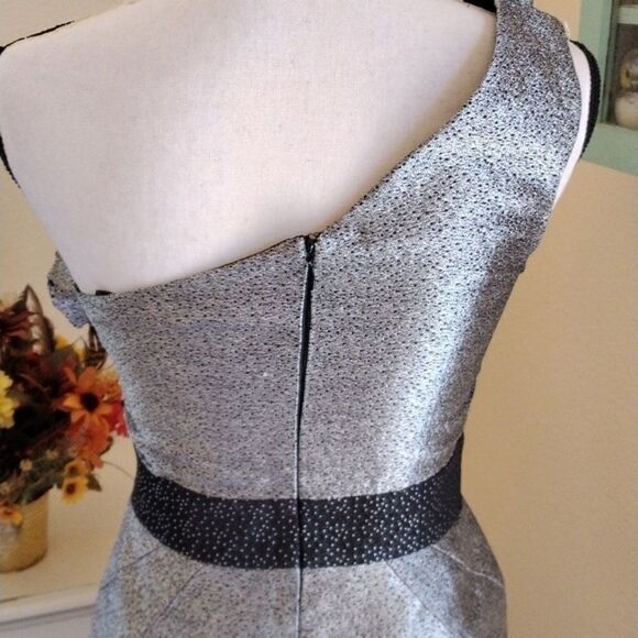 Max & Cleo Silvery Dress - Picture 7 of 14